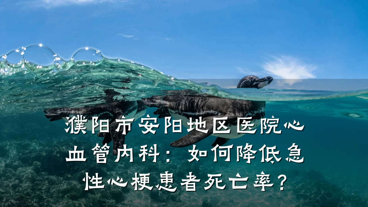 濮阳市安阳地区医院心血管内科:如何降低急性心梗患者死亡率?