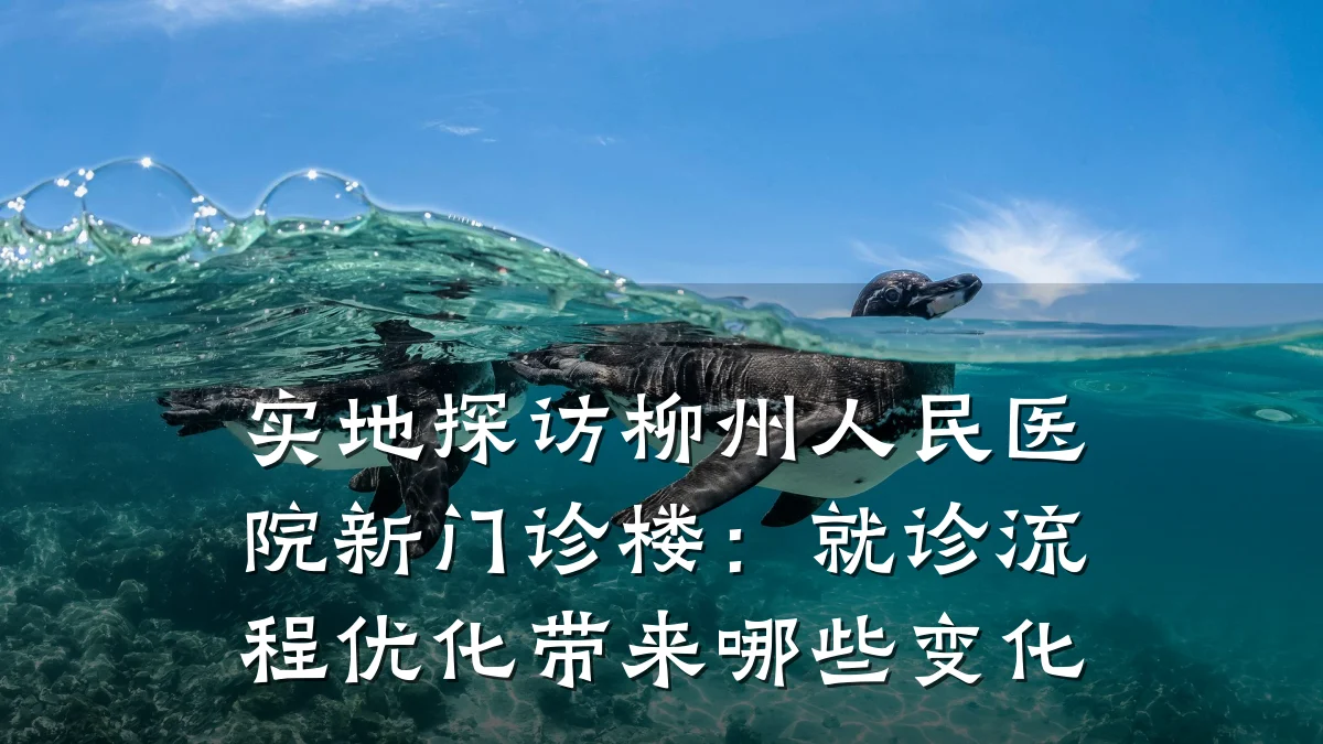 实地探访柳州人民医院新门诊楼：就诊流程优化带来哪些变化