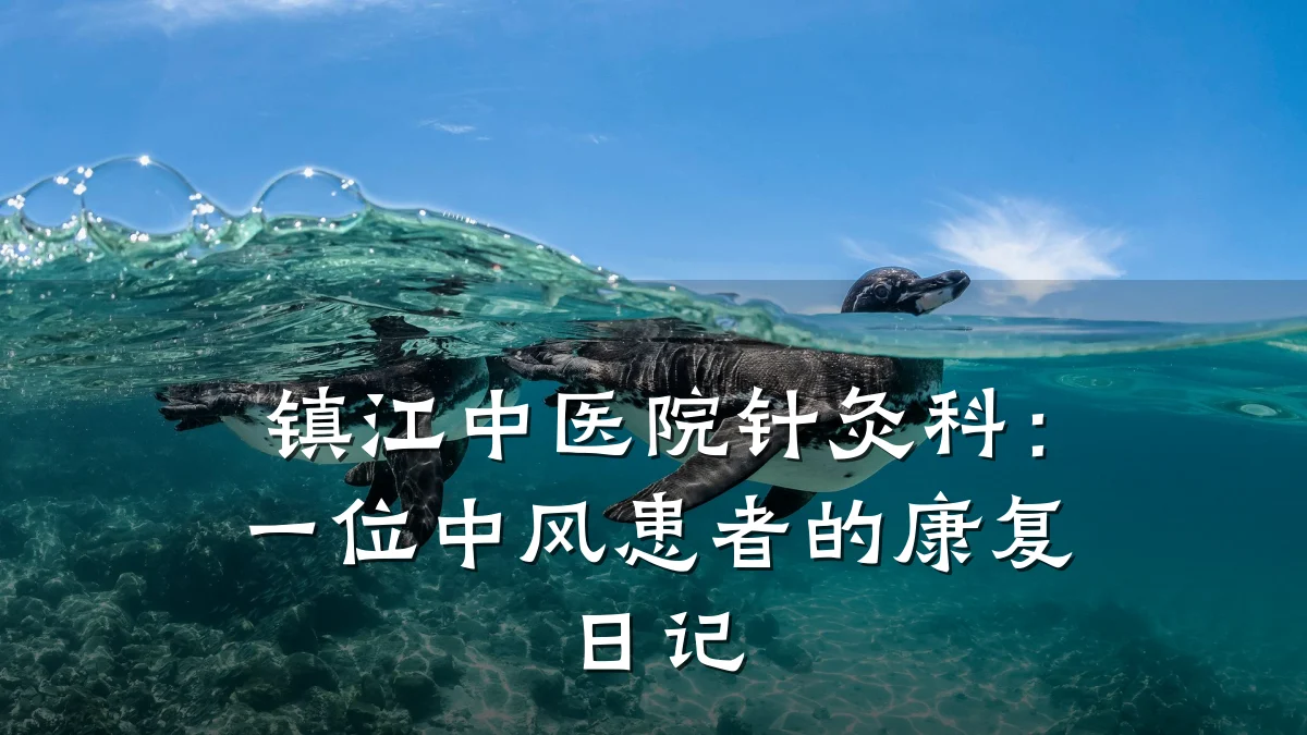 镇江中医院针灸科：一位中风患者的康复日记