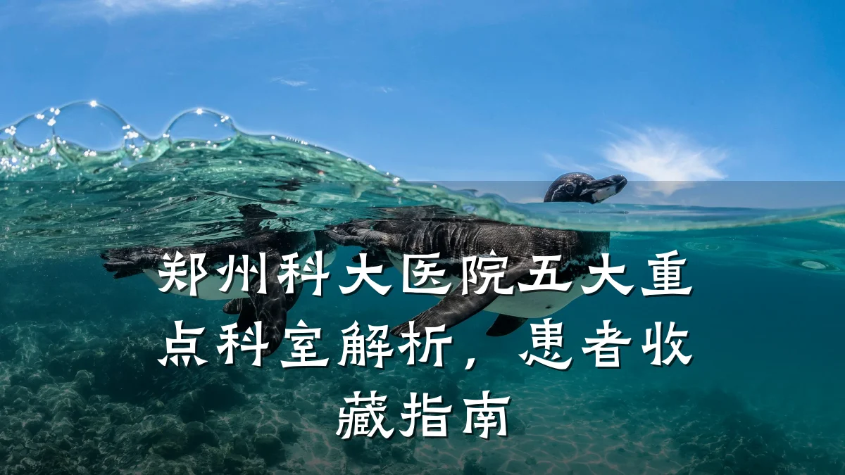 郑州科大医院五大重点科室解析，患者收藏指南