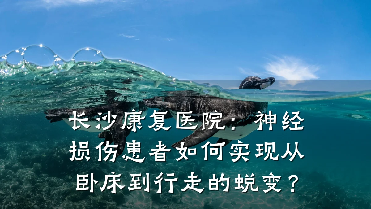 长沙康复医院：神经损伤患者如何实现从卧床到行走的蜕变？