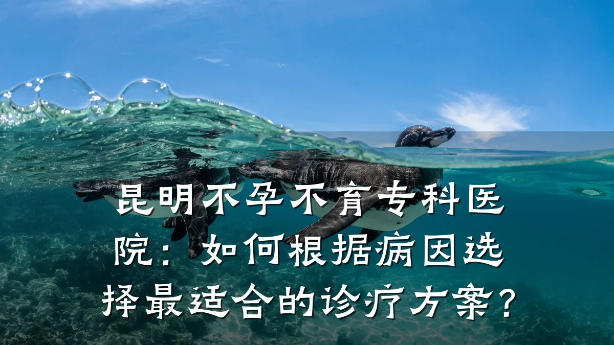 昆明不孕不育专科医院：如何根据病因选择最适合的诊疗方案？