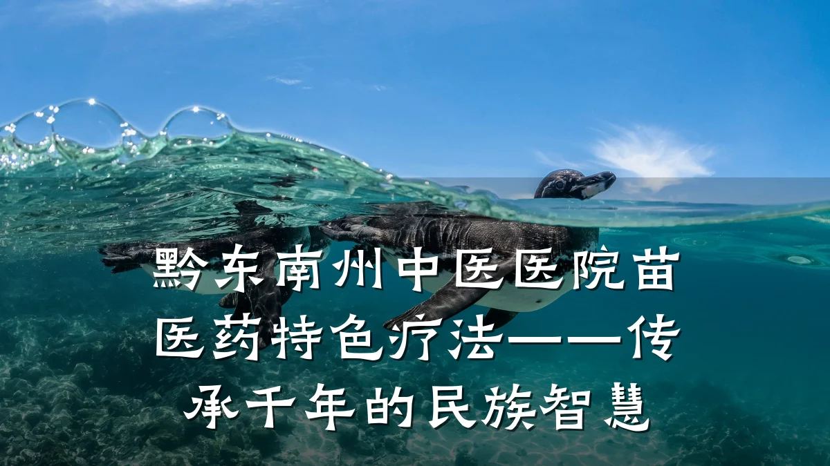 黔东南州中医医院苗医药特色疗法——传承千年的民族智慧