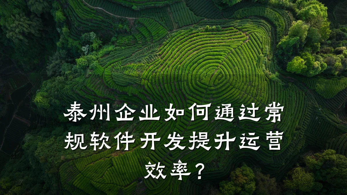 泰州企业如何通过常规软件开发提升运营效率？