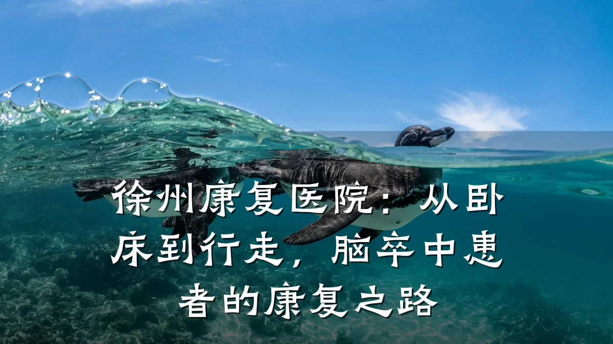 徐州康复医院:从卧床到行走,脑卒中患者的康复之路