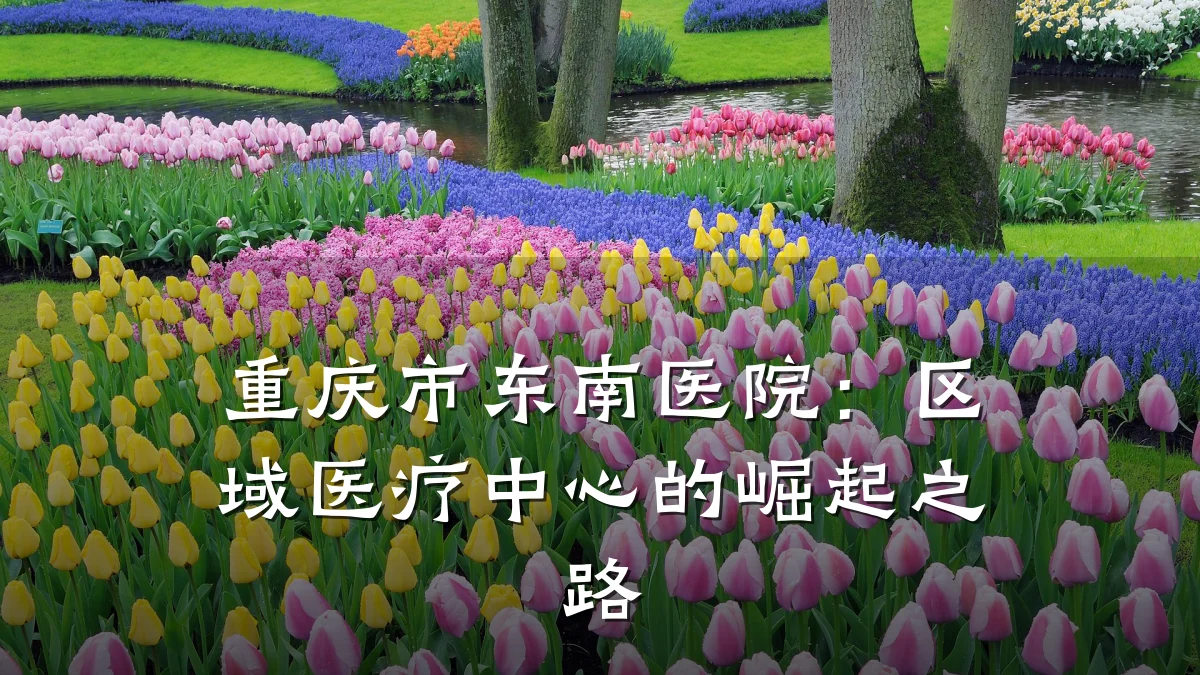 重庆市东南医院：区域医疗中心的崛起之路