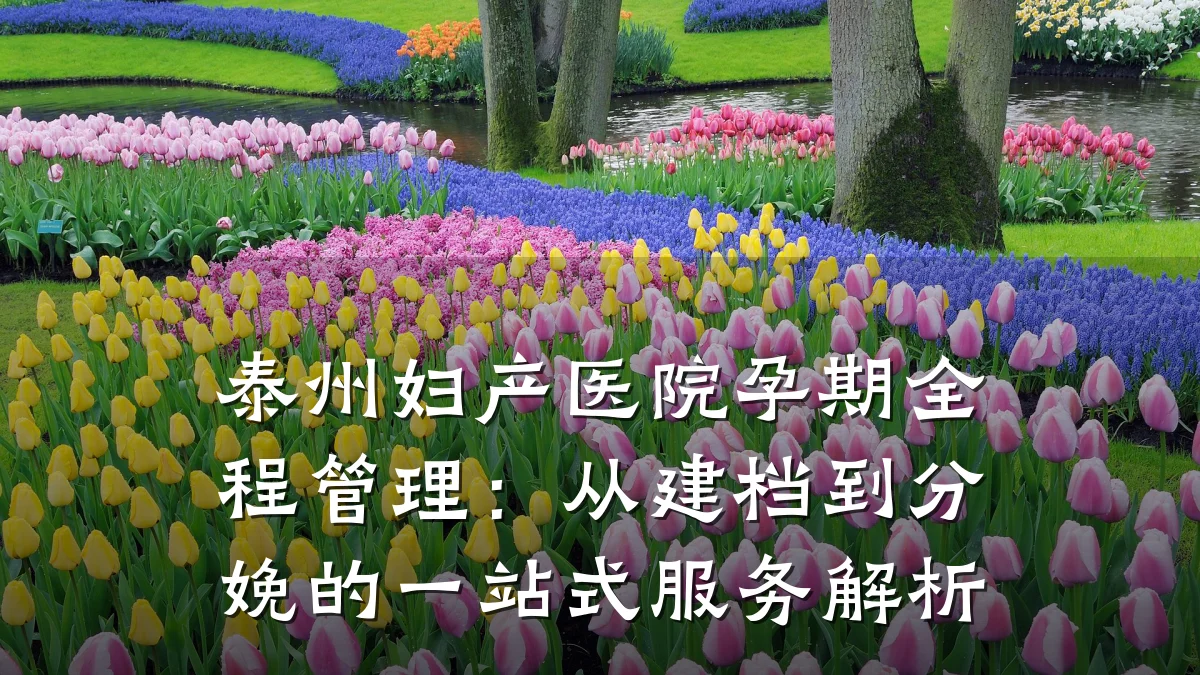 泰州妇产医院孕期全程管理：从建档到分娩的一站式服务解析