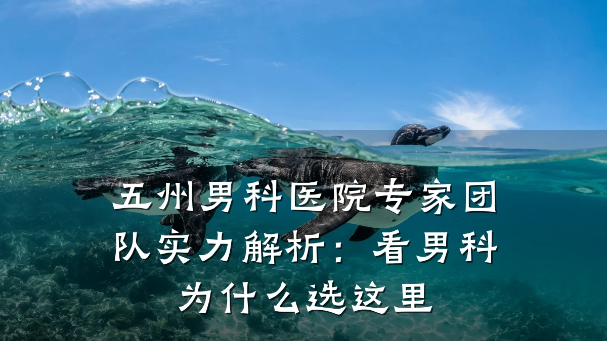 五州男科医院专家团队实力解析:看男科为什么选这里