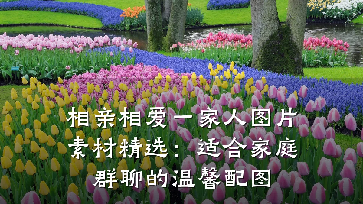 相亲相爱一家人图片素材精选：适合家庭群聊的温馨配图
