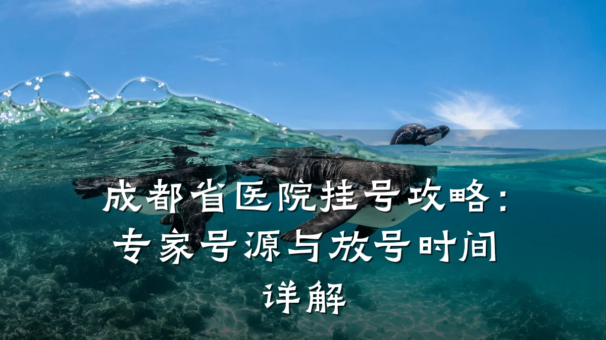 成都省医院挂号攻略：专家号源与放号时间详解