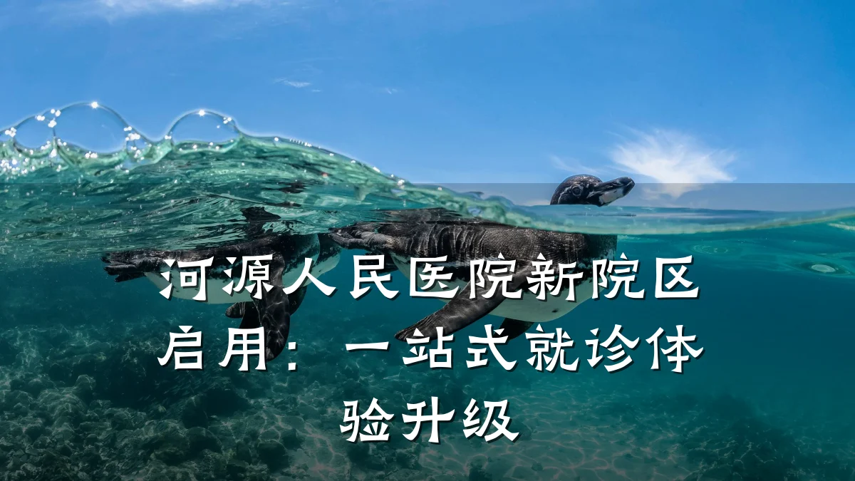 河源人民医院新院区启用：一站式就诊体验升级