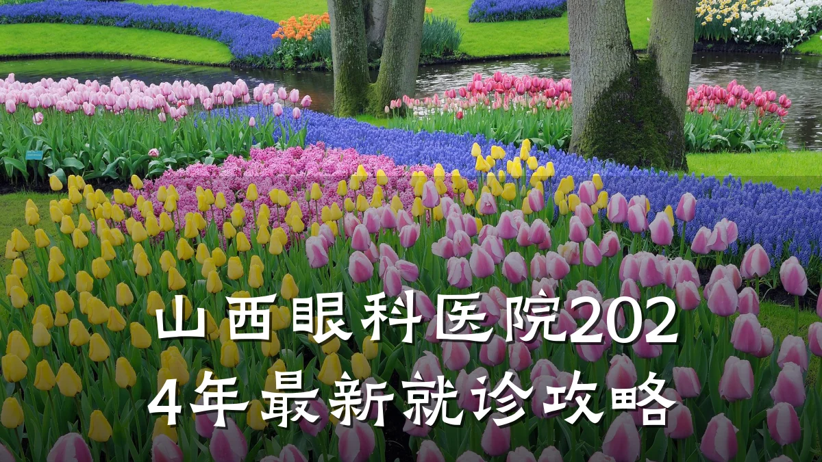 山西眼科医院2024年最新就诊攻略