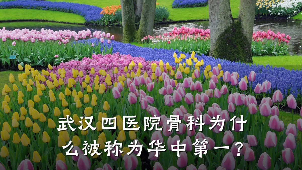 武汉四医院骨科为什么被称为华中第一?
