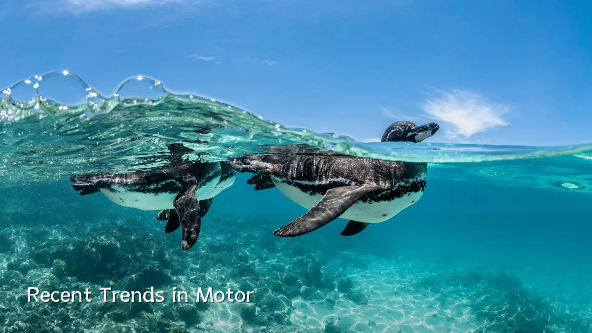 Recent Trends in Motor