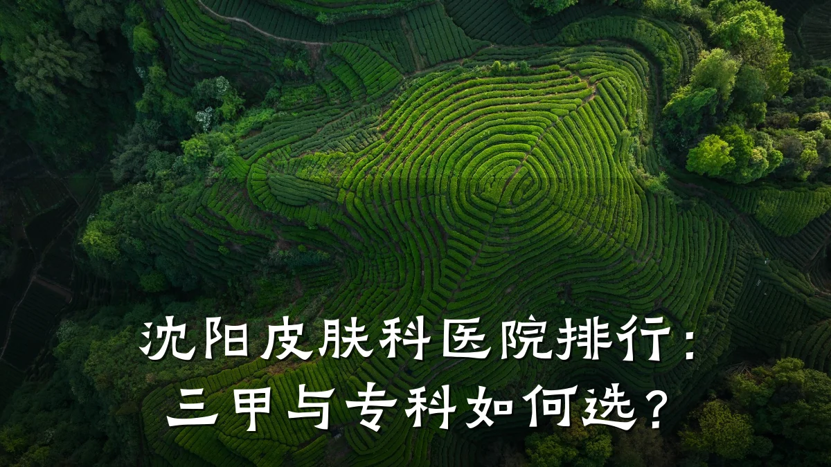 沈阳皮肤科医院排行:三甲与专科如何选?