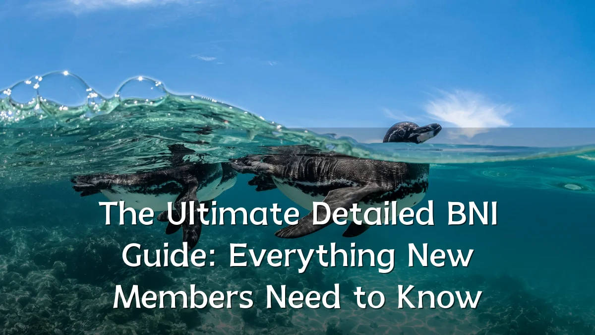 The Ultimate Detailed BNI Guide: Everything New Members Need to Know