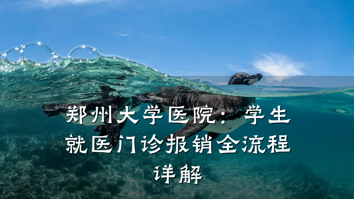 郑州大学医院：学生就医门诊报销全流程详解