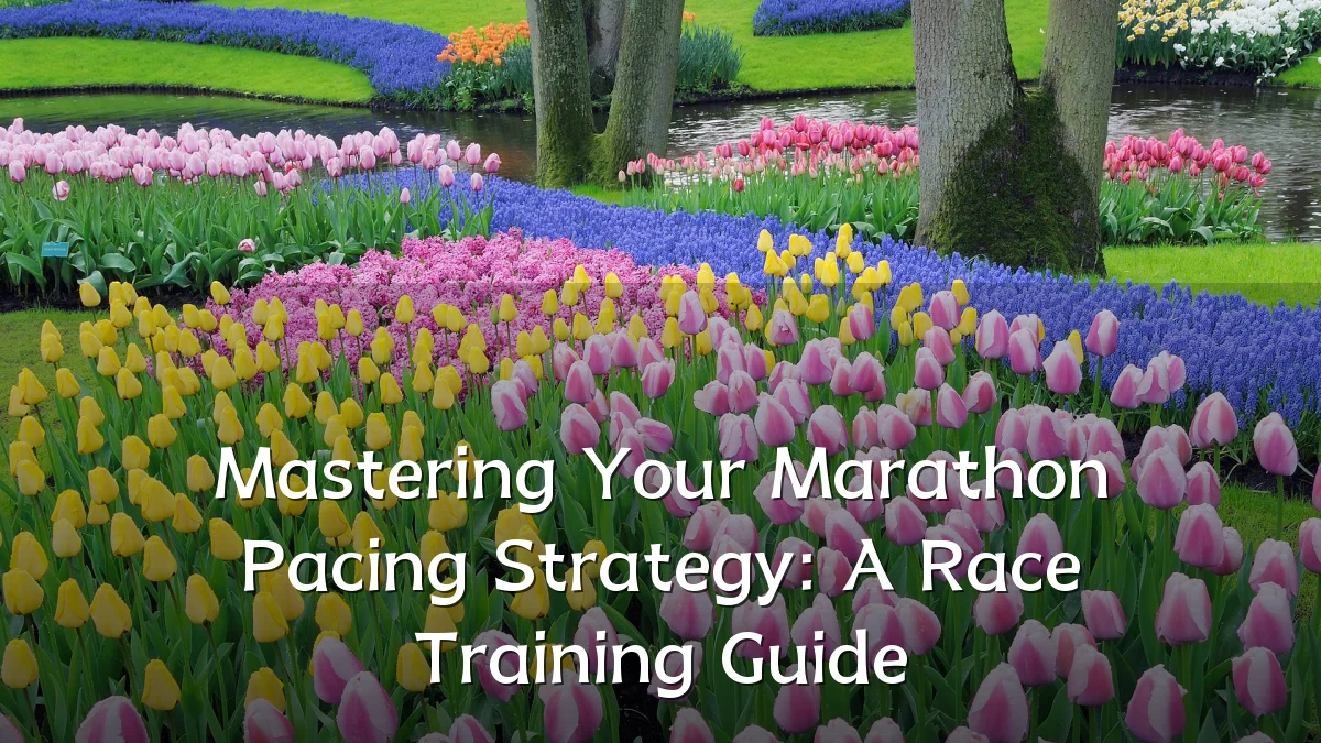 Mastering Your Marathon Pacing Strategy: A Race Training Guide