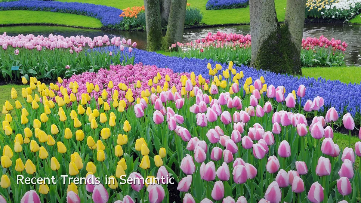 Recent Trends in Semantic