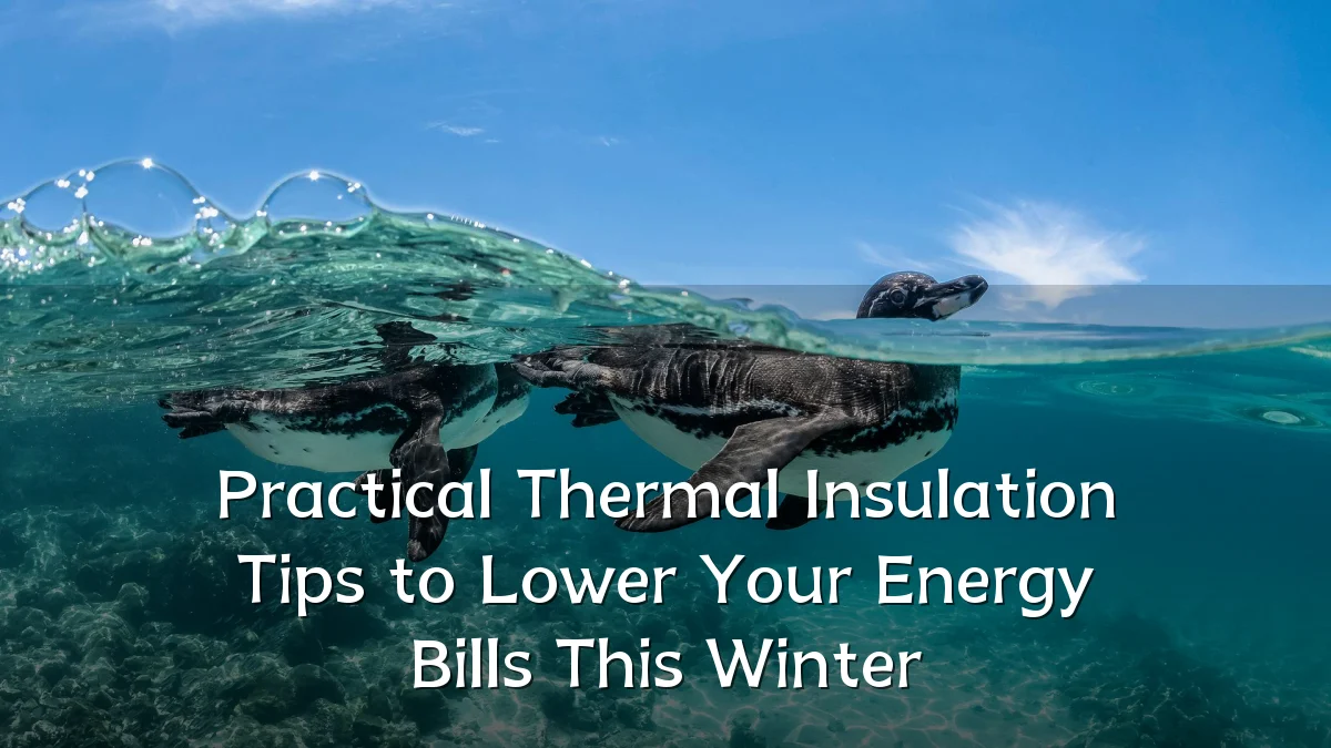 Practical Thermal Insulation Tips to Lower Your Energy Bills This Winter