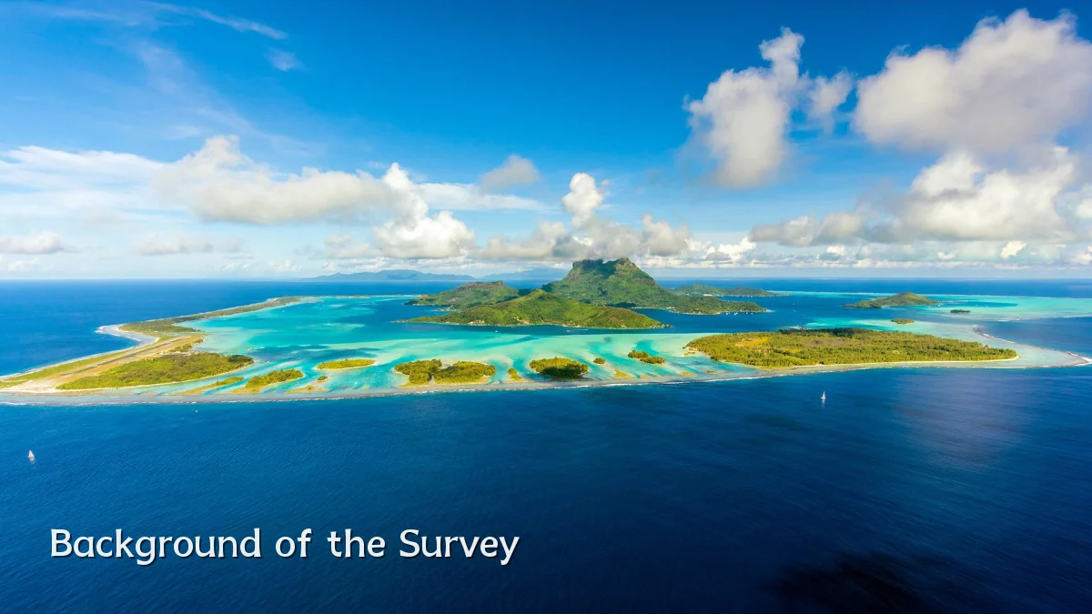 Background of the Survey