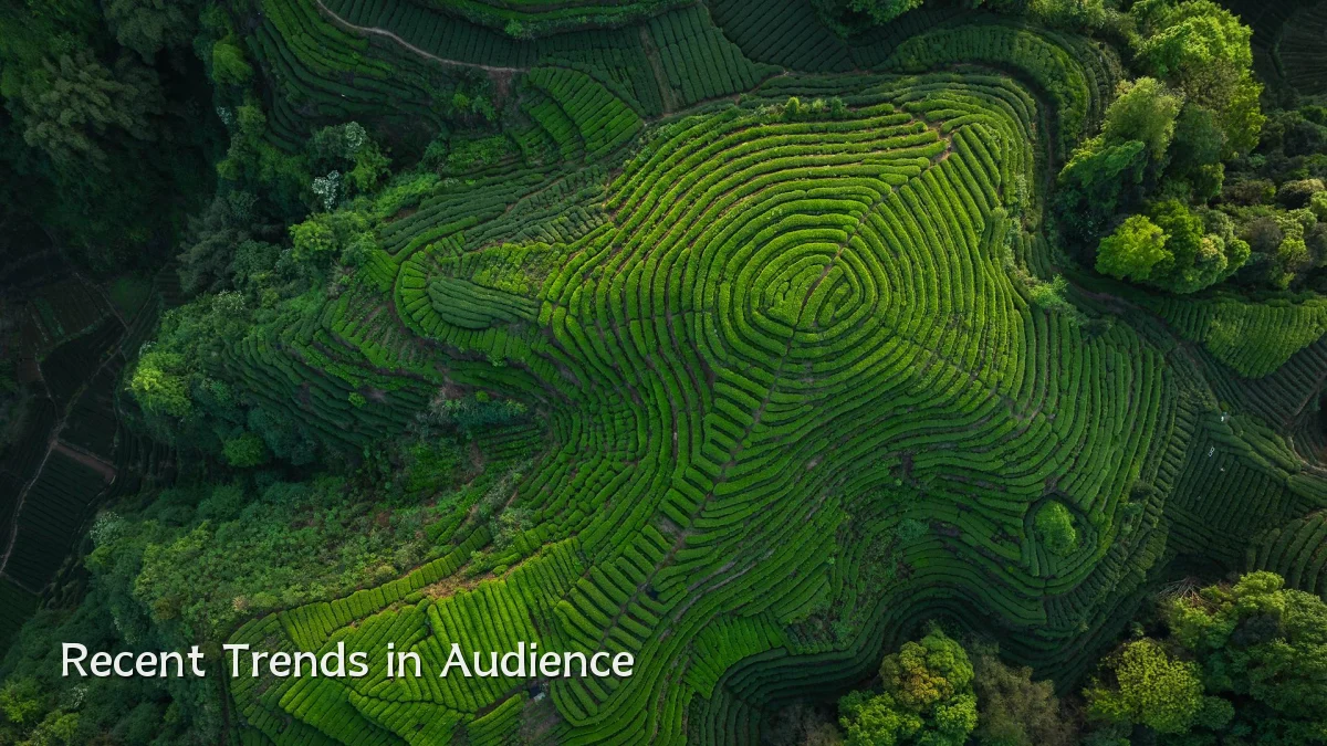 Recent Trends in Audience