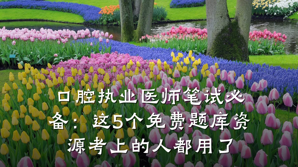 口腔执业医师笔试必备：这5个免费题库资源考上的人都用了