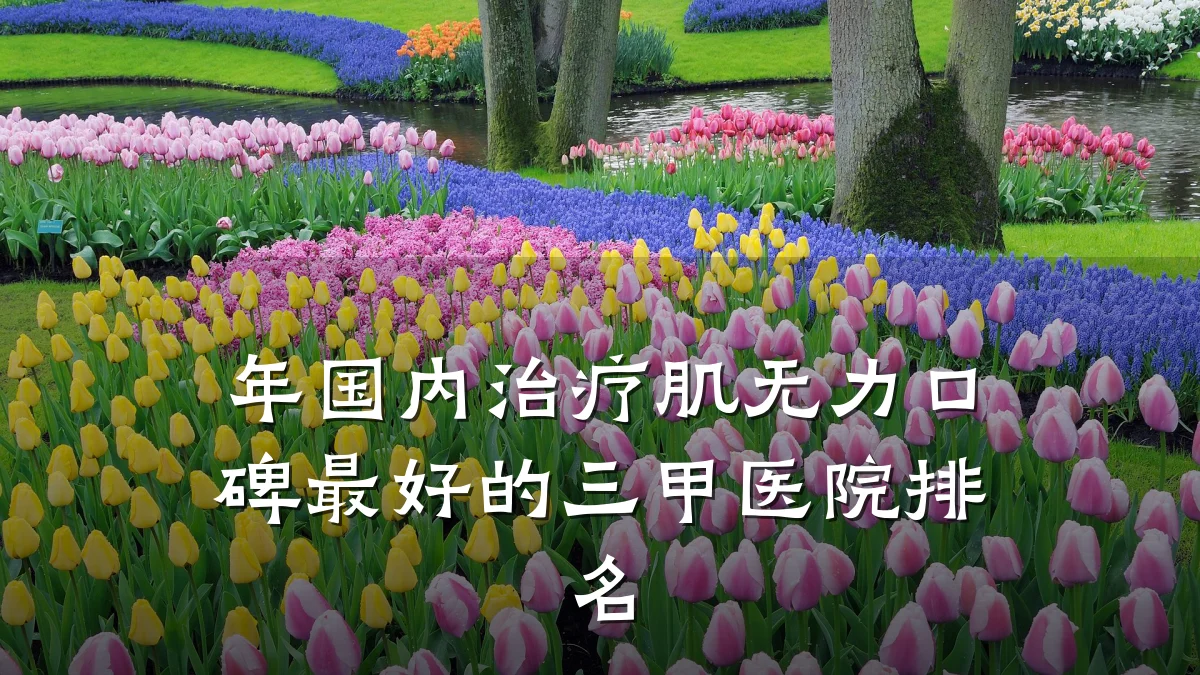 年国内治疗肌无力口碑最好的三甲医院排名