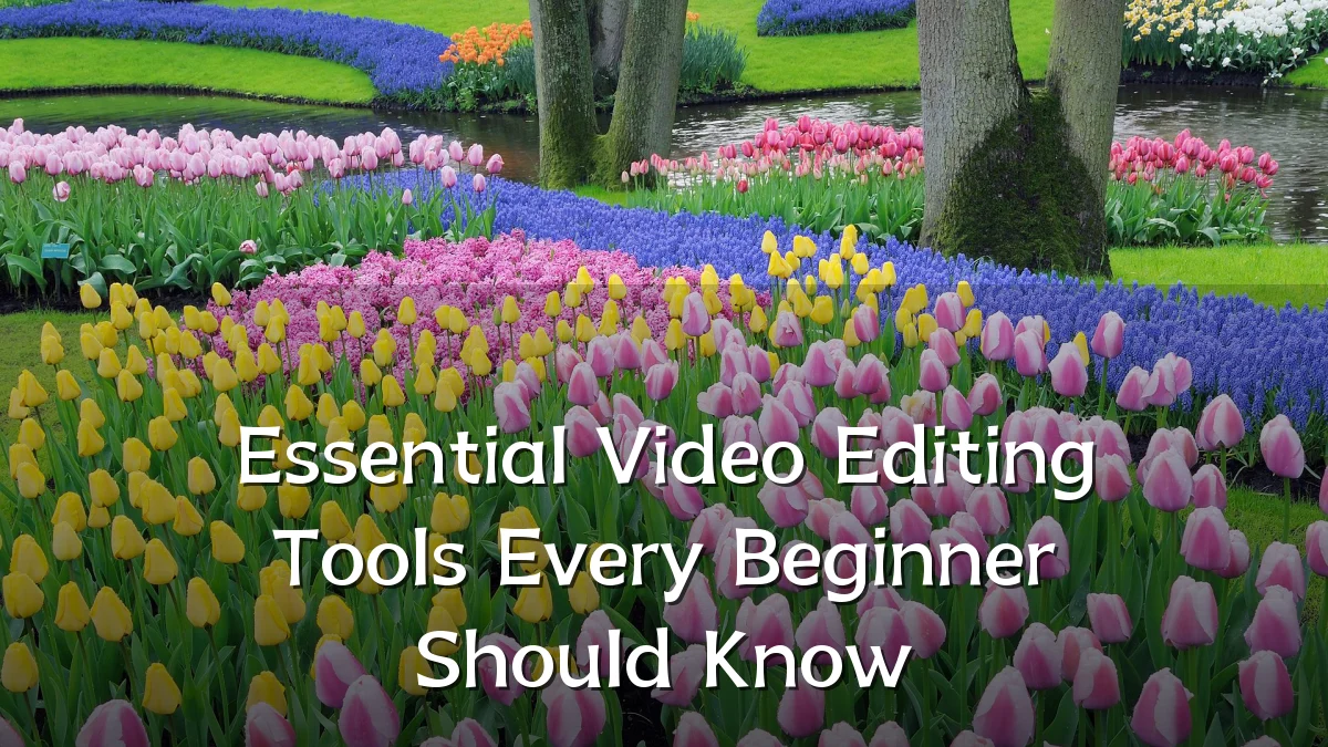 Essential Video Editing Tools Every Beginner Should Know