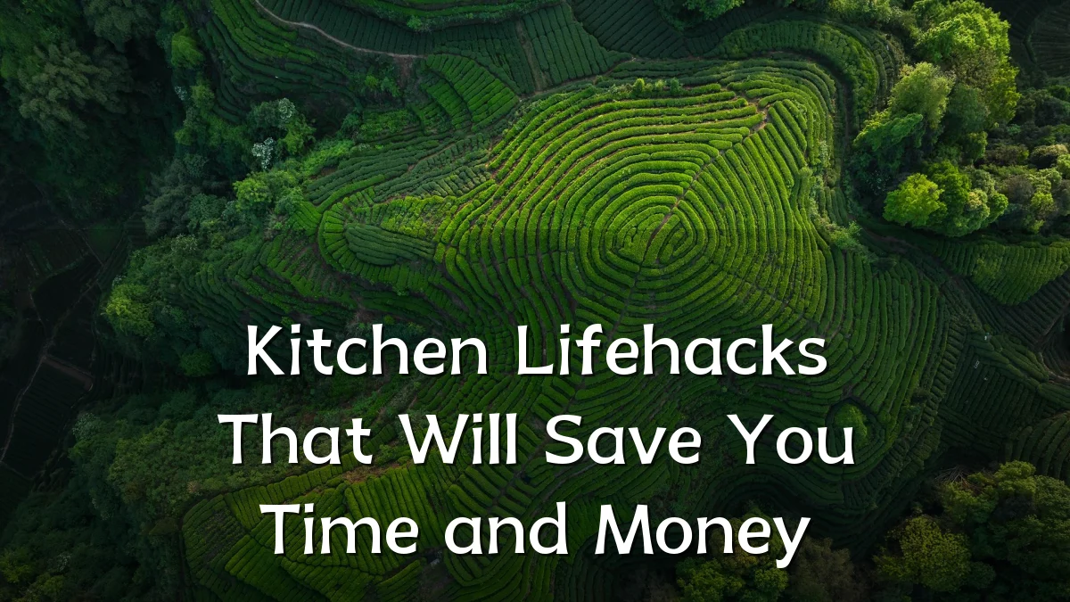 Kitchen Lifehacks That Will Save You Time and Money