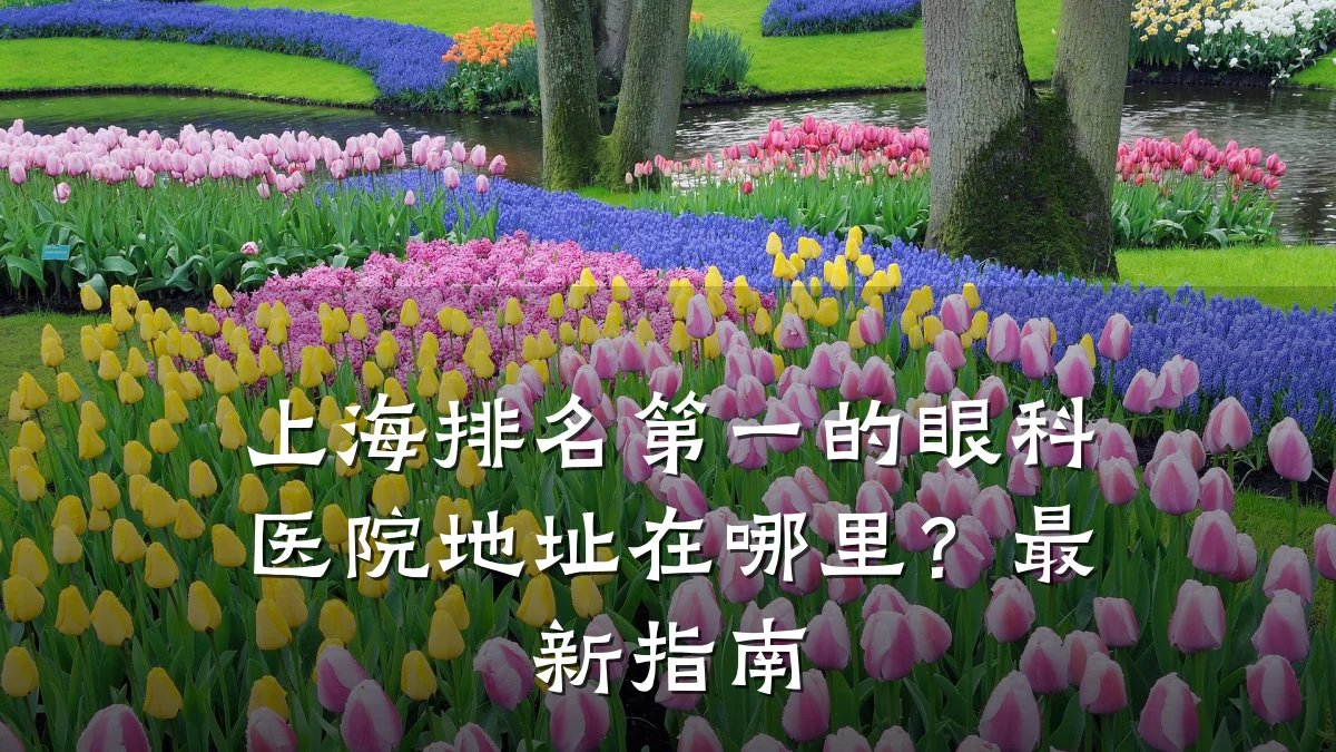 上海排名第一的眼科医院地址在哪里？最新指南