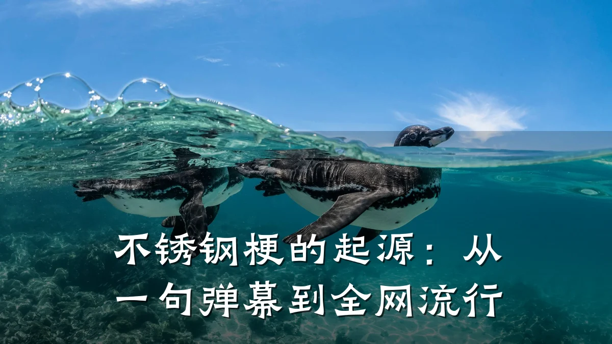 不锈钢梗的起源：从一句弹幕到全网流行