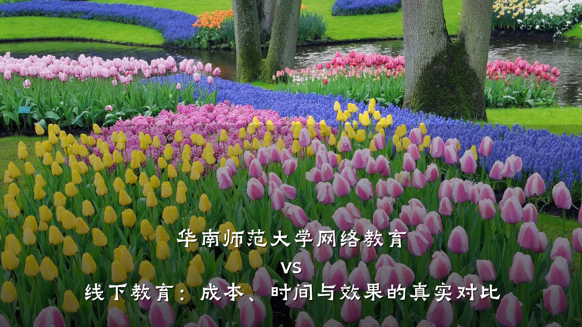 华南师范大学网络教育 vs 线下教育：成本、时间与效果的真实对比