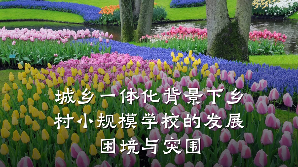 城乡一体化背景下乡村小规模学校的发展困境与突围