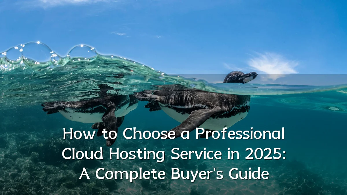 How to Choose a Professional Cloud Hosting Service in 2025: A Complete Buyer's Guide