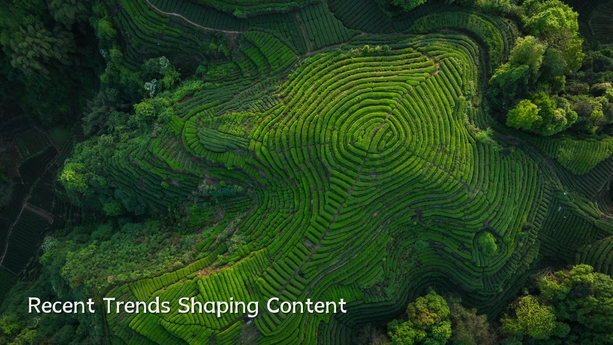 Recent Trends Shaping Content