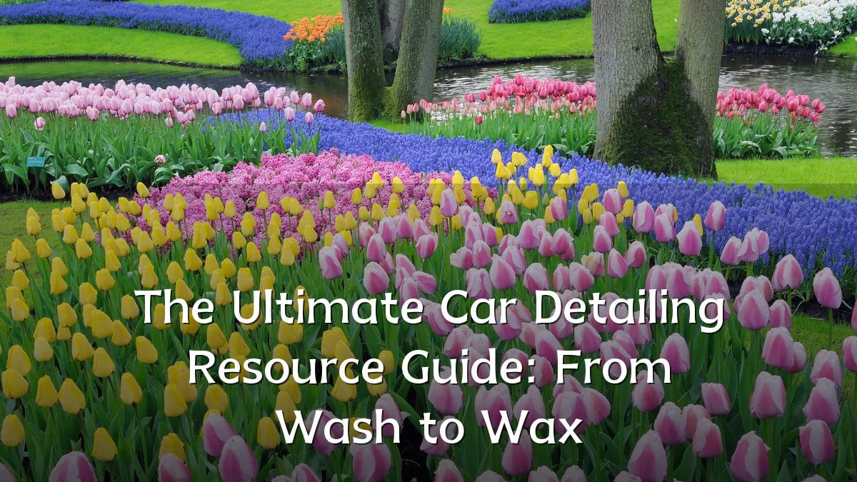 The Ultimate Car Detailing Resource Guide: From Wash to Wax