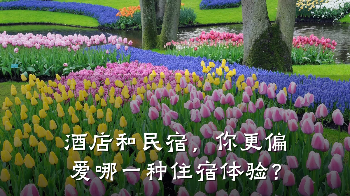 酒店和民宿，你更偏爱哪一种住宿体验？