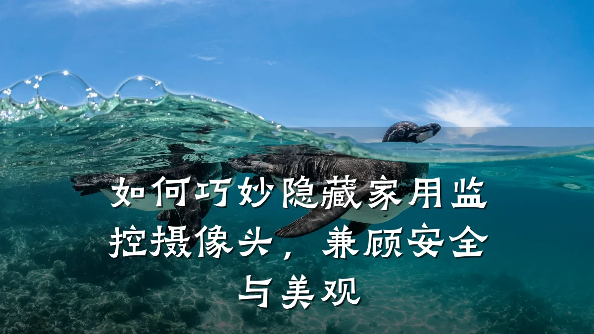 如何巧妙隐藏家用监控摄像头,兼顾安全与美观