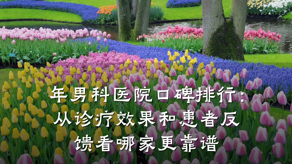 年男科医院口碑排行:从诊疗效果和患者反馈看哪家更靠谱