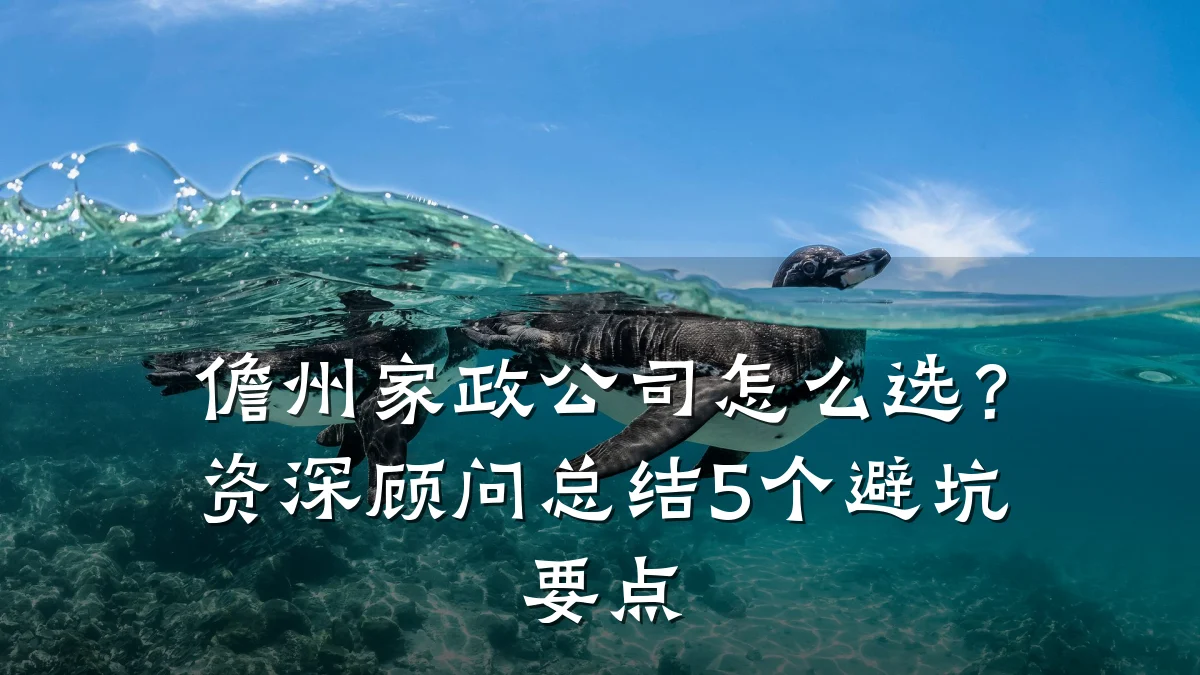 儋州家政公司怎么选?资深顾问总结5个避坑要点