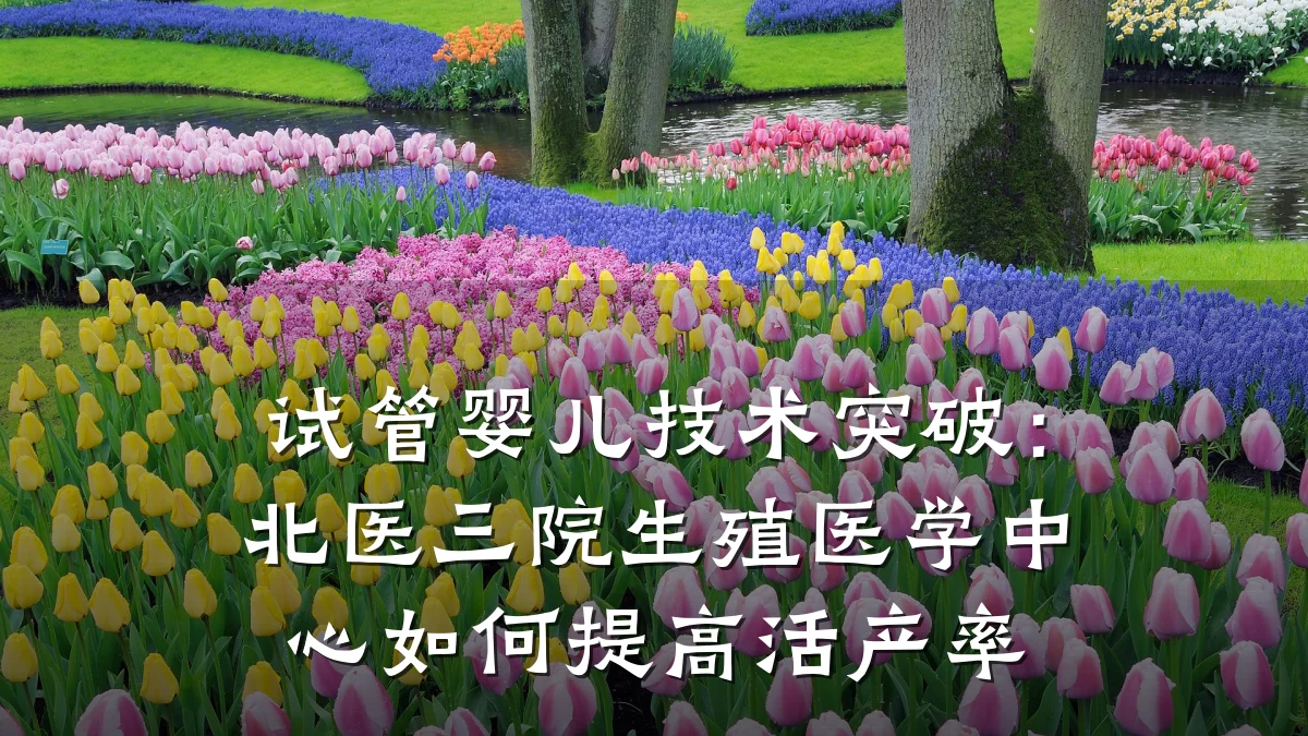 试管婴儿技术突破：北医三院生殖医学中心如何提高活产率