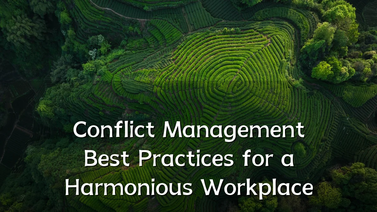 Conflict Management Best Practices for a Harmonious Workplace