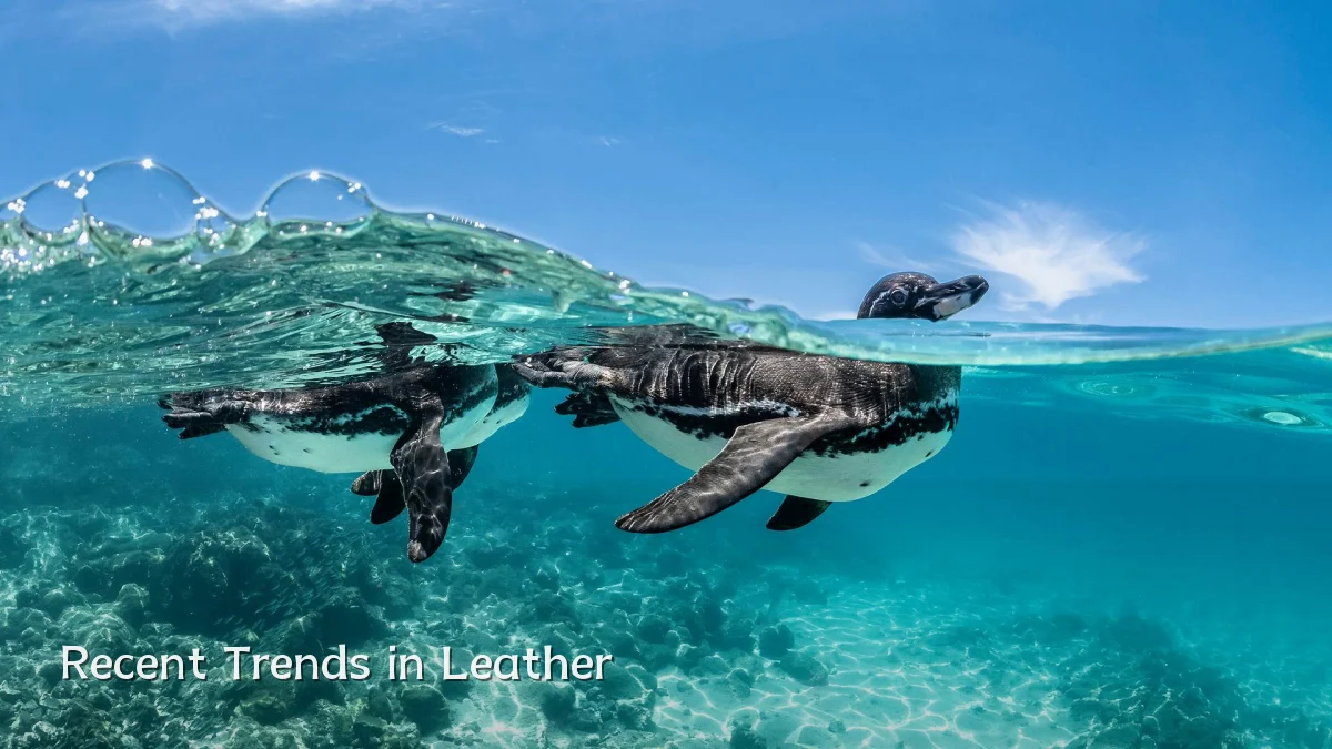 Recent Trends in Leather