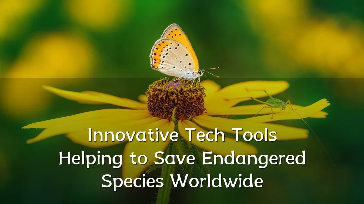 Innovative Tech Tools Helping to Save Endangered Species Worldwide