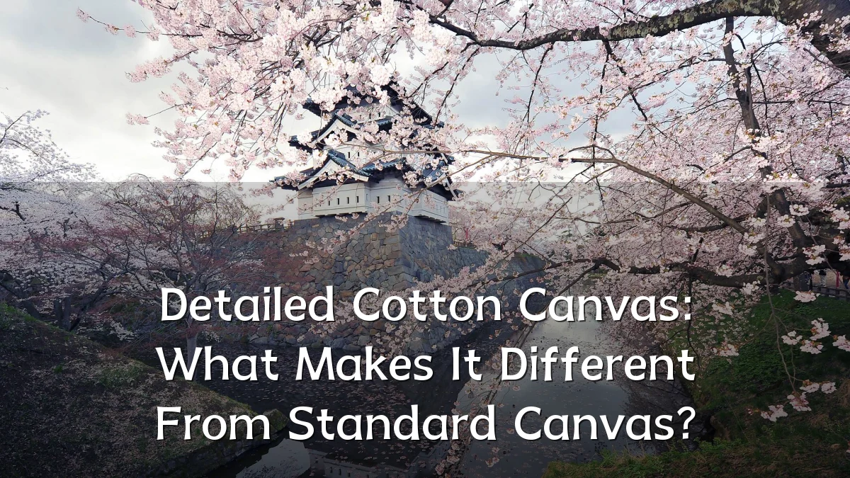 Detailed Cotton Canvas: What Makes It Different From Standard Canvas?