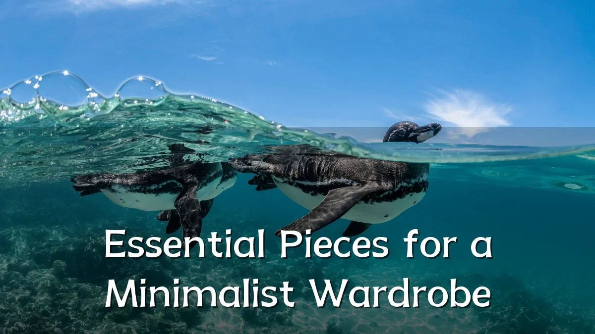 Essential Pieces for a Minimalist Wardrobe