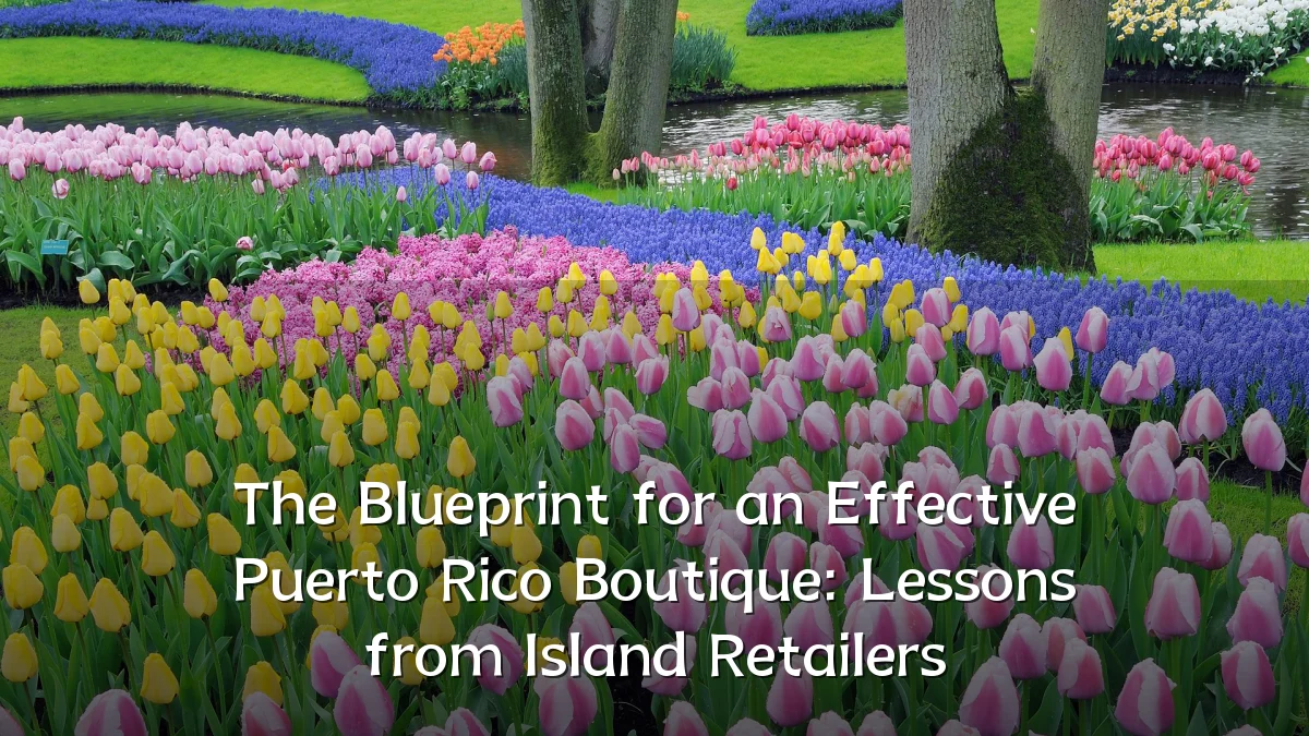 The Blueprint for an Effective Puerto Rico Boutique: Lessons from Island Retailers