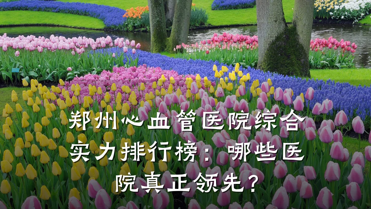郑州心血管医院综合实力排行榜:哪些医院真正领先?